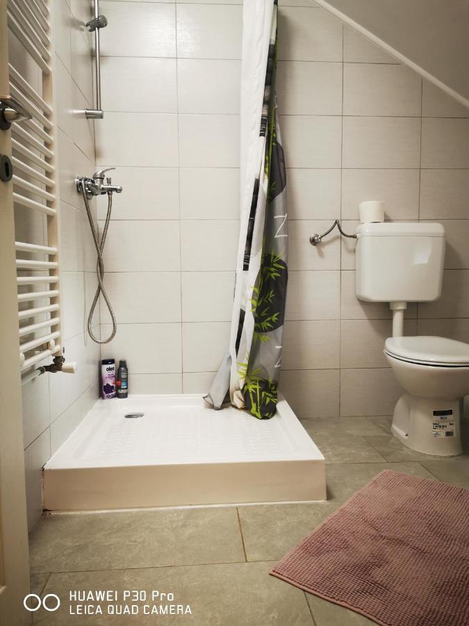 Vila Julija - Apartment & Rooms Otocsán Kültér fotó